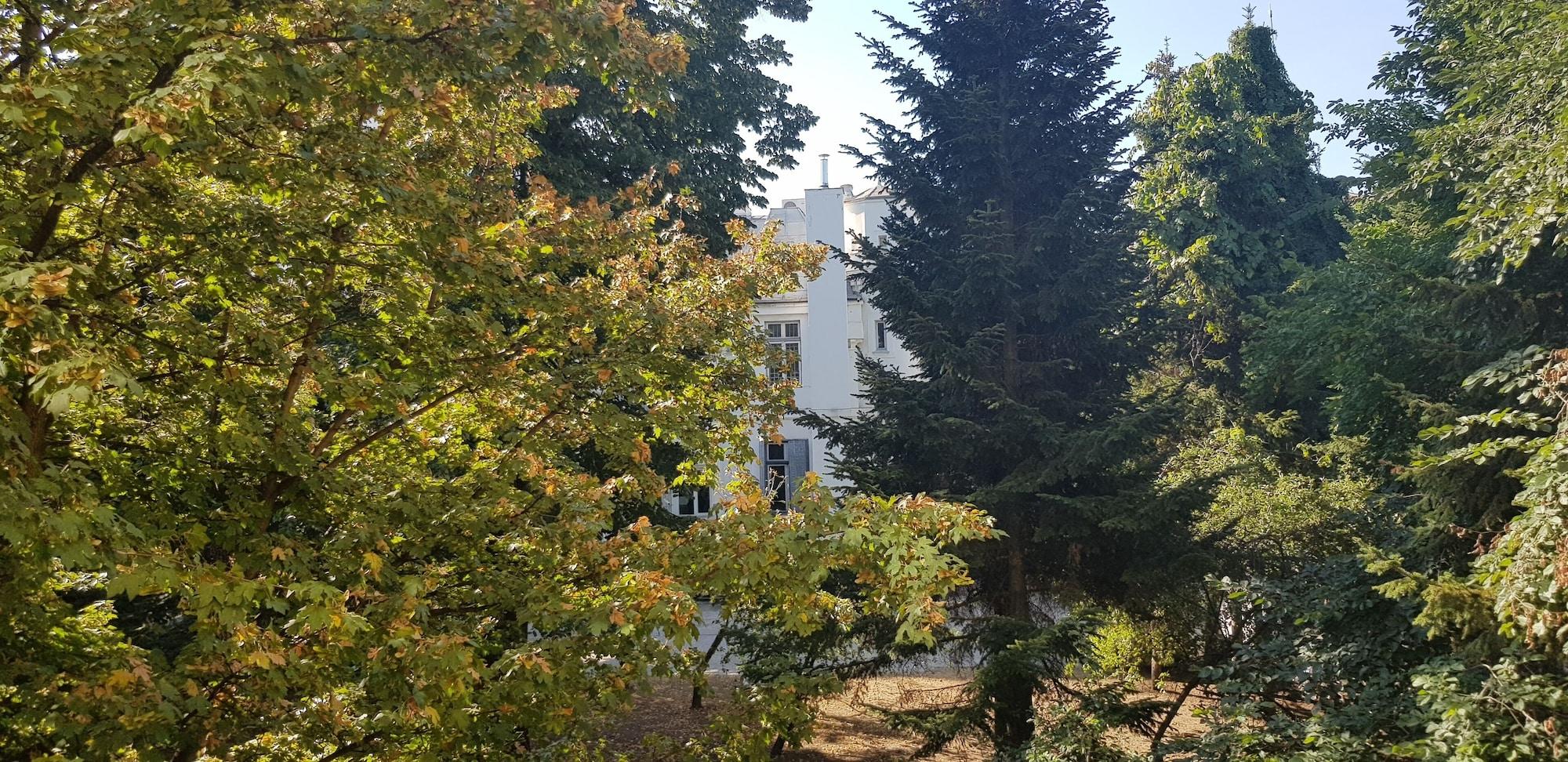 Michelangelo Bucureşti